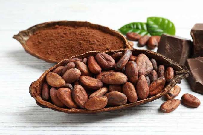 cacao